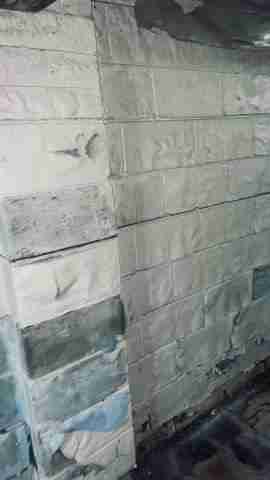 14680 Troester (48).jpg